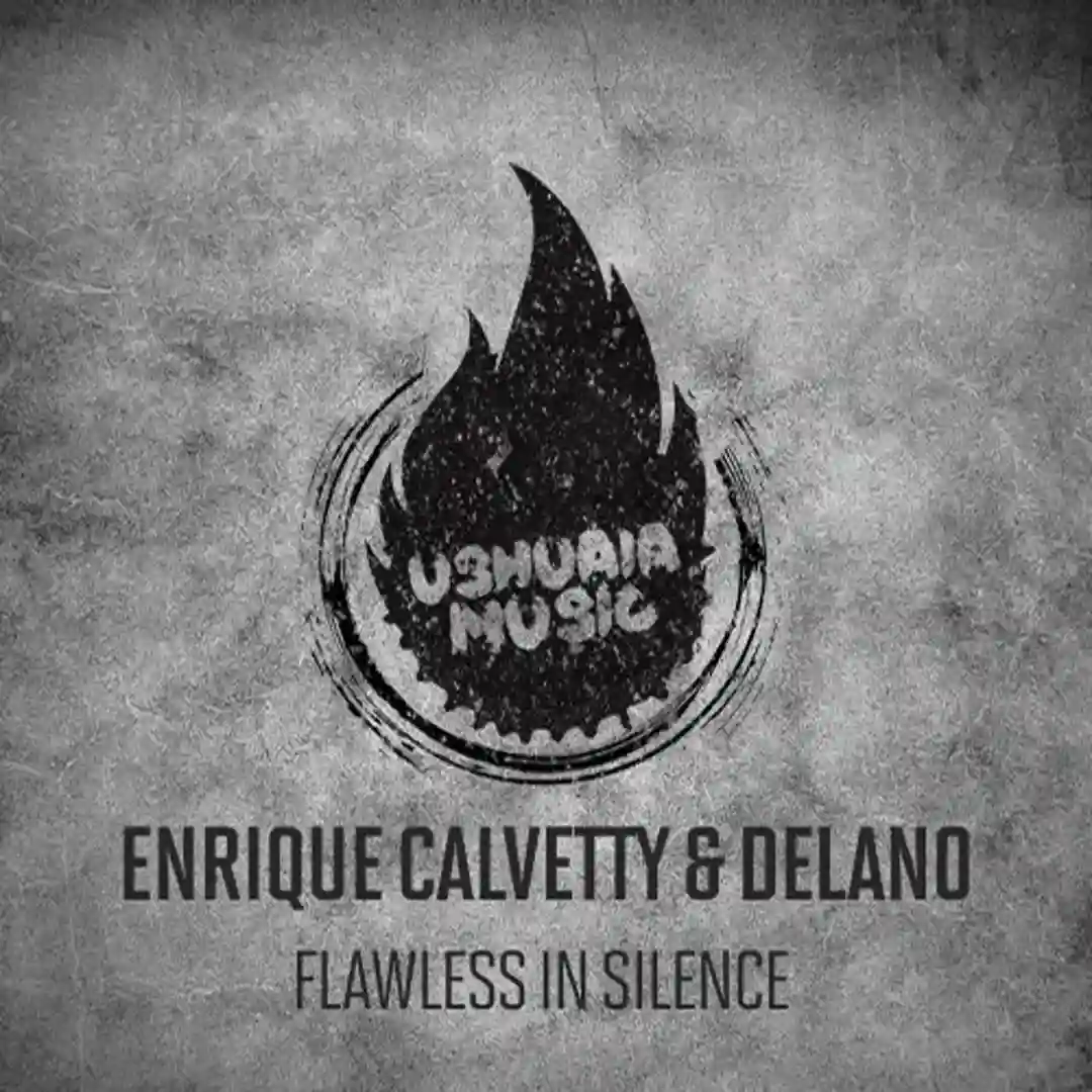 Flawless In Silence cover
