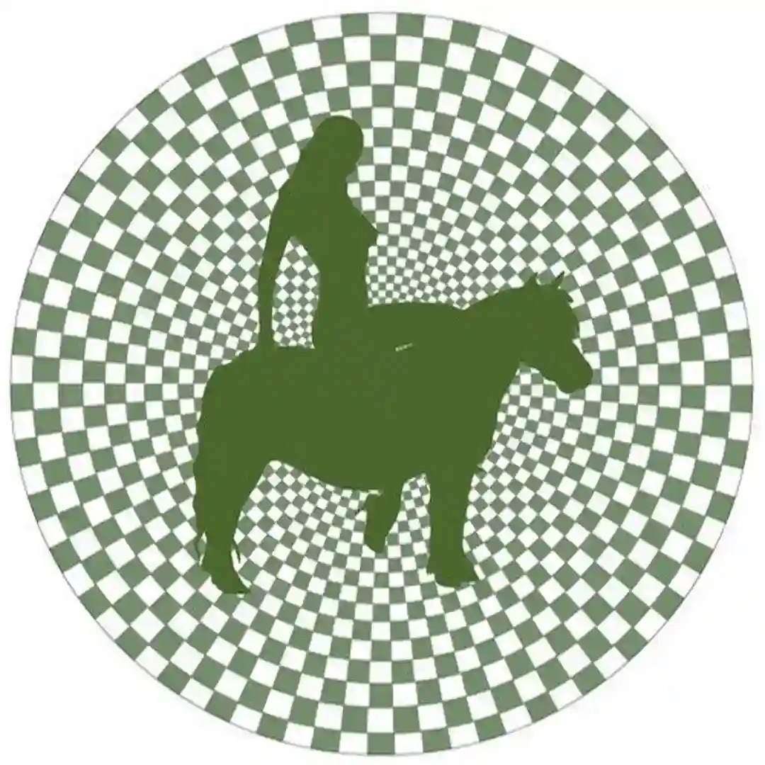 Pony Express cover