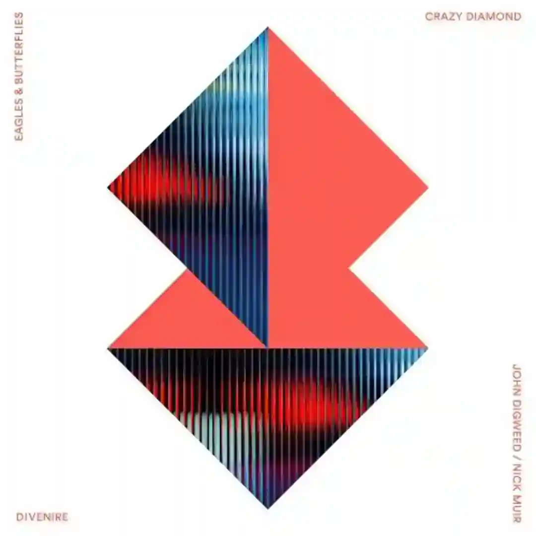 Crazy Diamond (Original Mix) cover