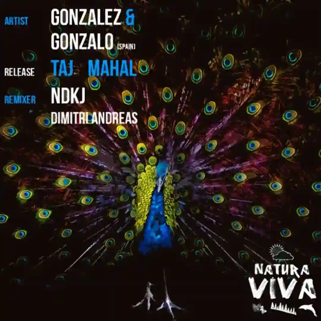 Taj Mahal (NDKj Heatflows Remix) cover