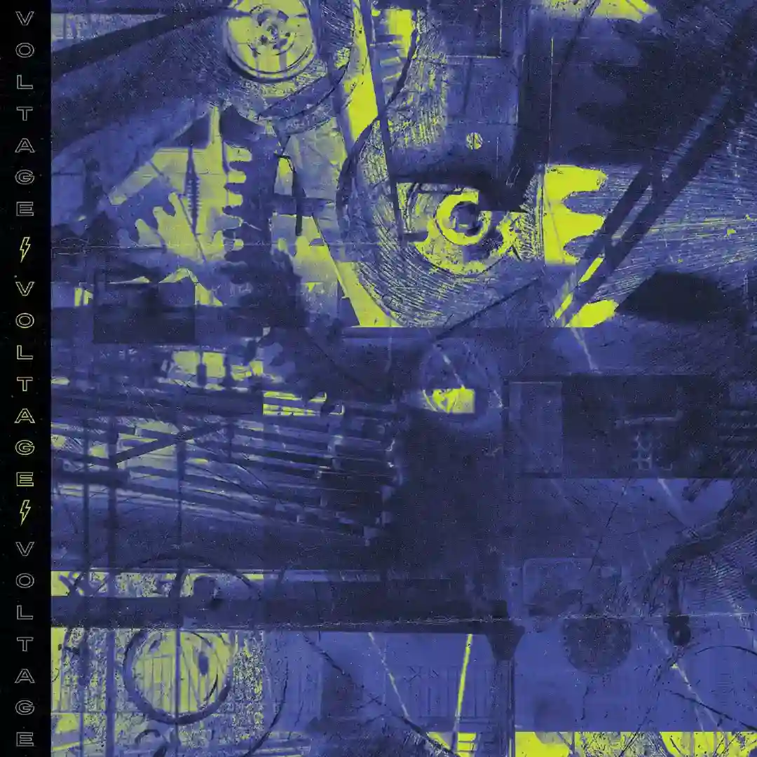 Dawn cover