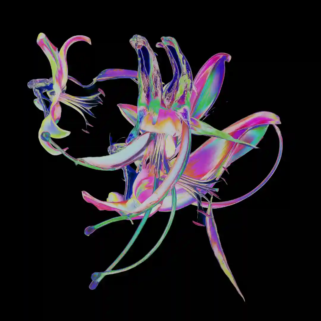 Drone (Extended Mix) cover
