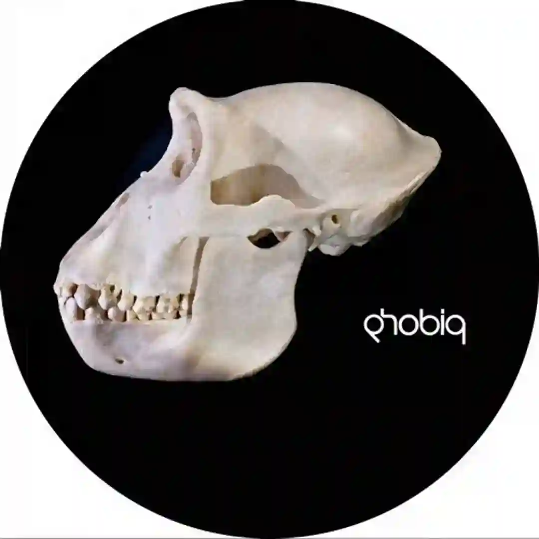 Z-Nasti (Sam Paganini Remix) cover