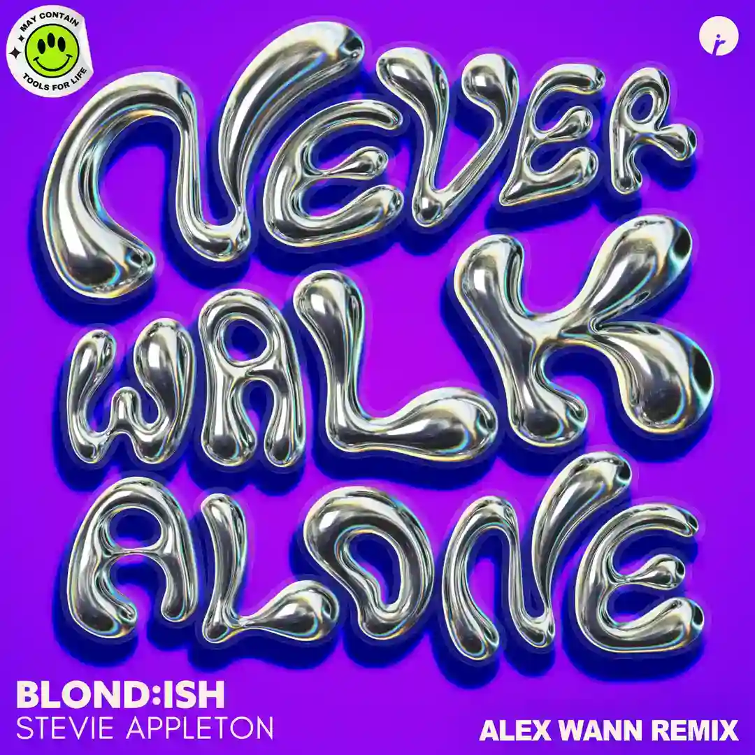 Never Walk Alone (Original Mix) cover
