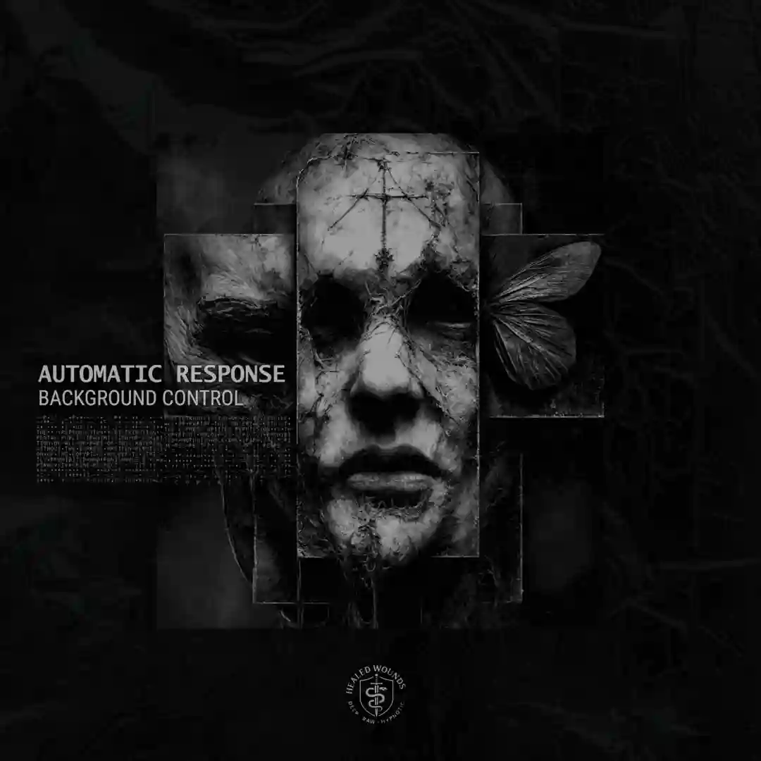 Anomalous Repetition (Original Mix) cover