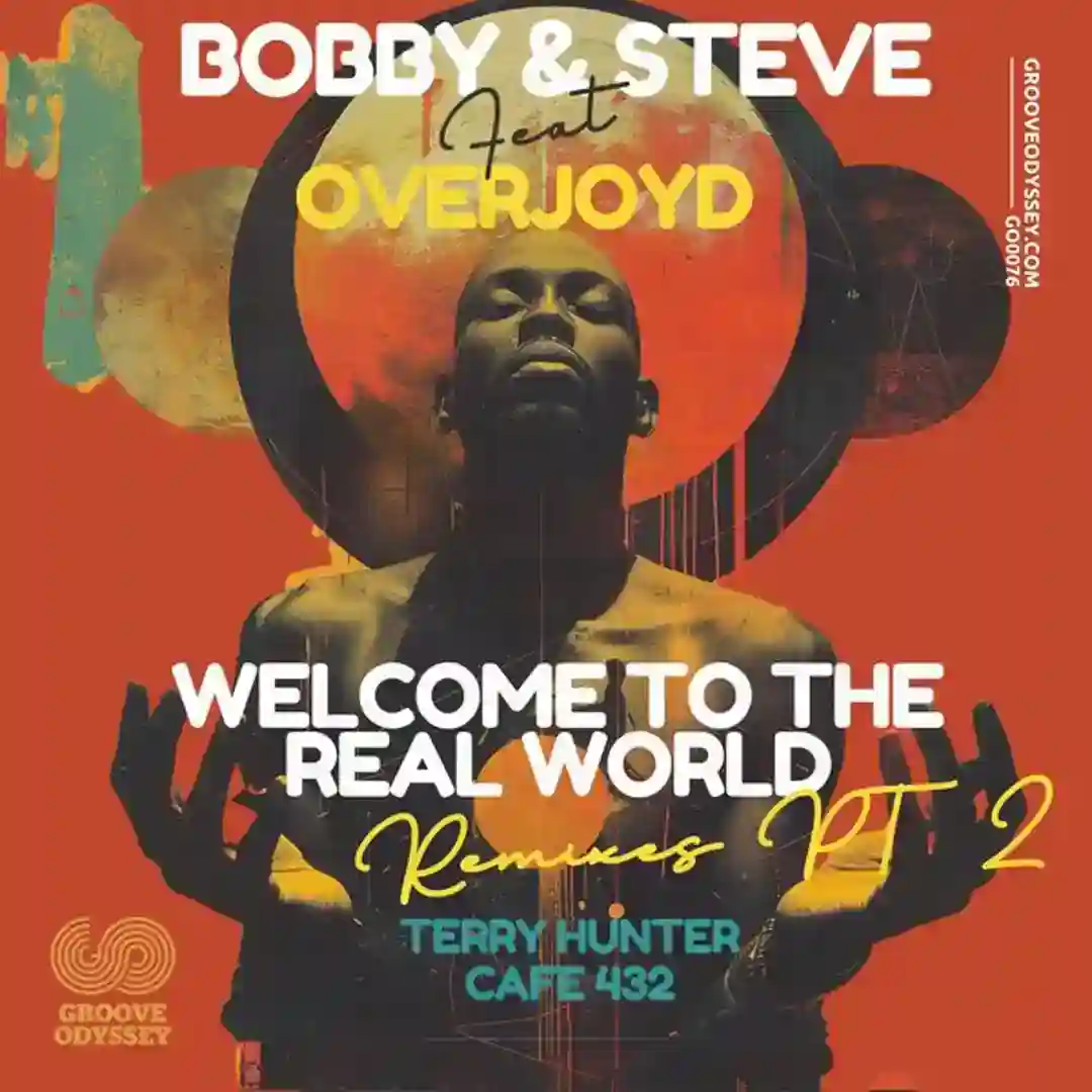 Welcome To The Real World Remixes PT2 cover