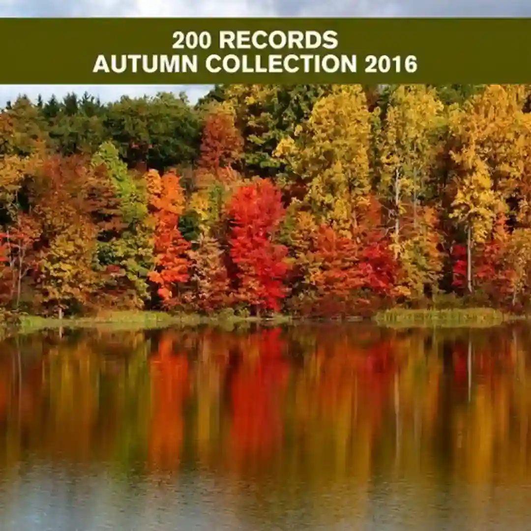 Purpur (Original Mix) cover