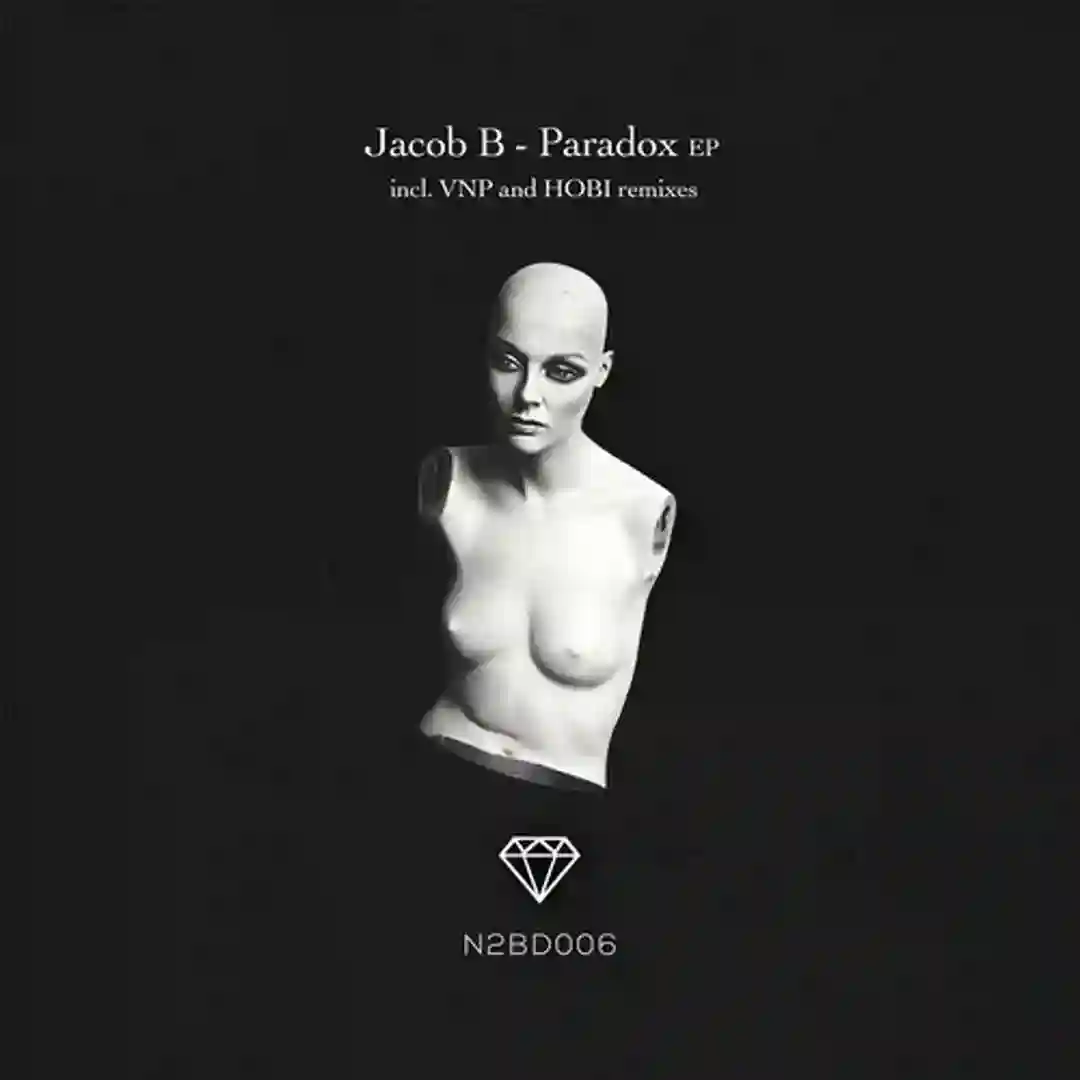 Paradox (VNP Remix) cover