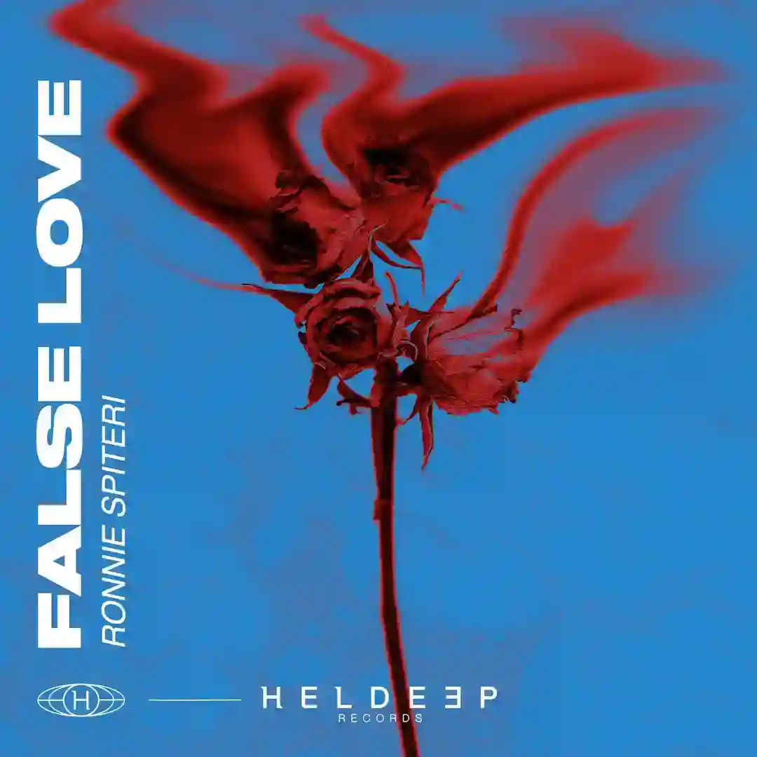 False Love (Extended Mix) cover