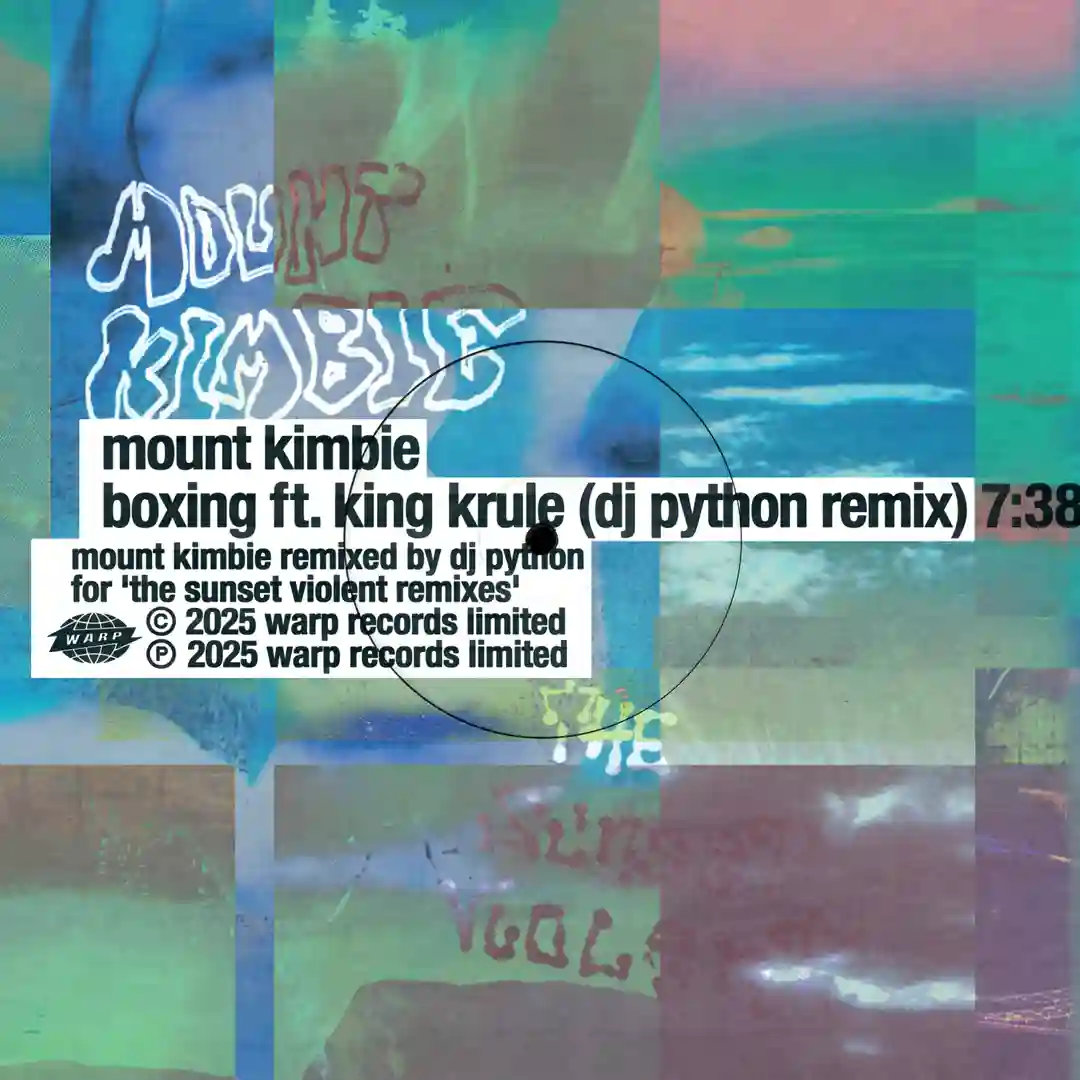 Boxing feat. King Krule - DJ Python Remix cover