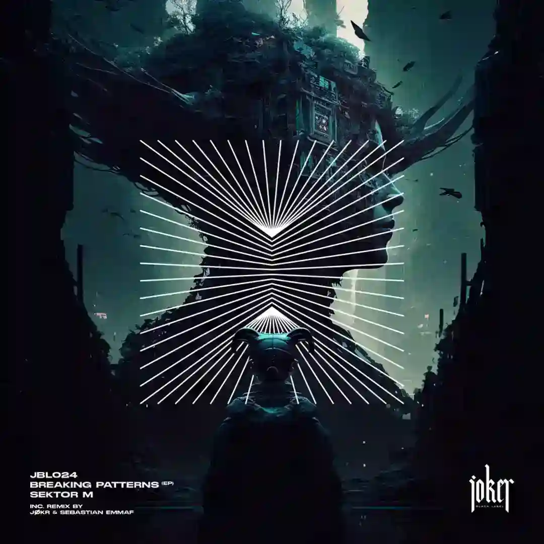 Recognition (Sebastian EmmaF Remix) cover