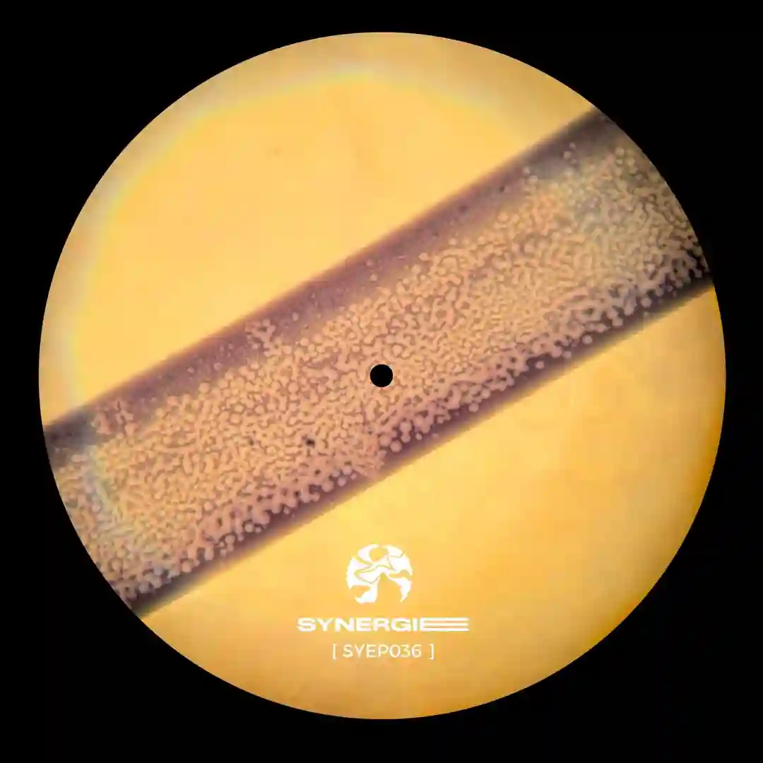 Uncharted Territory (SYEP036) cover