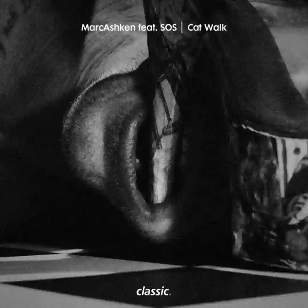 Cat Walk cover