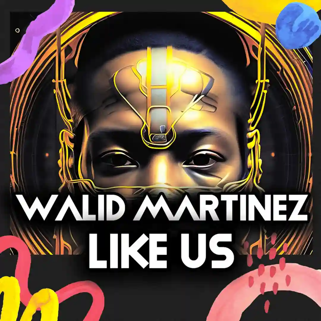 Like Us cover