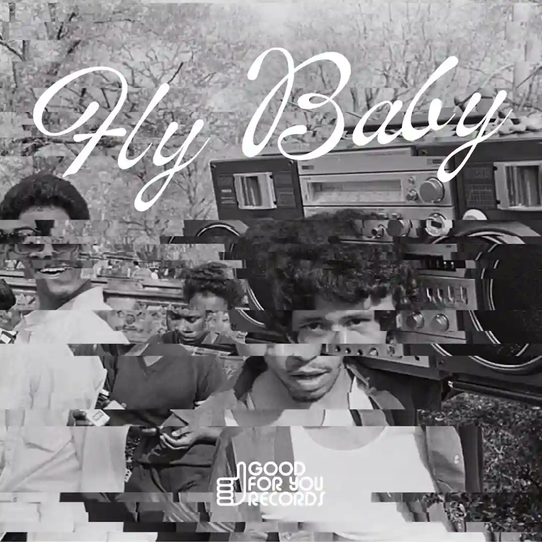 Fly Baby cover