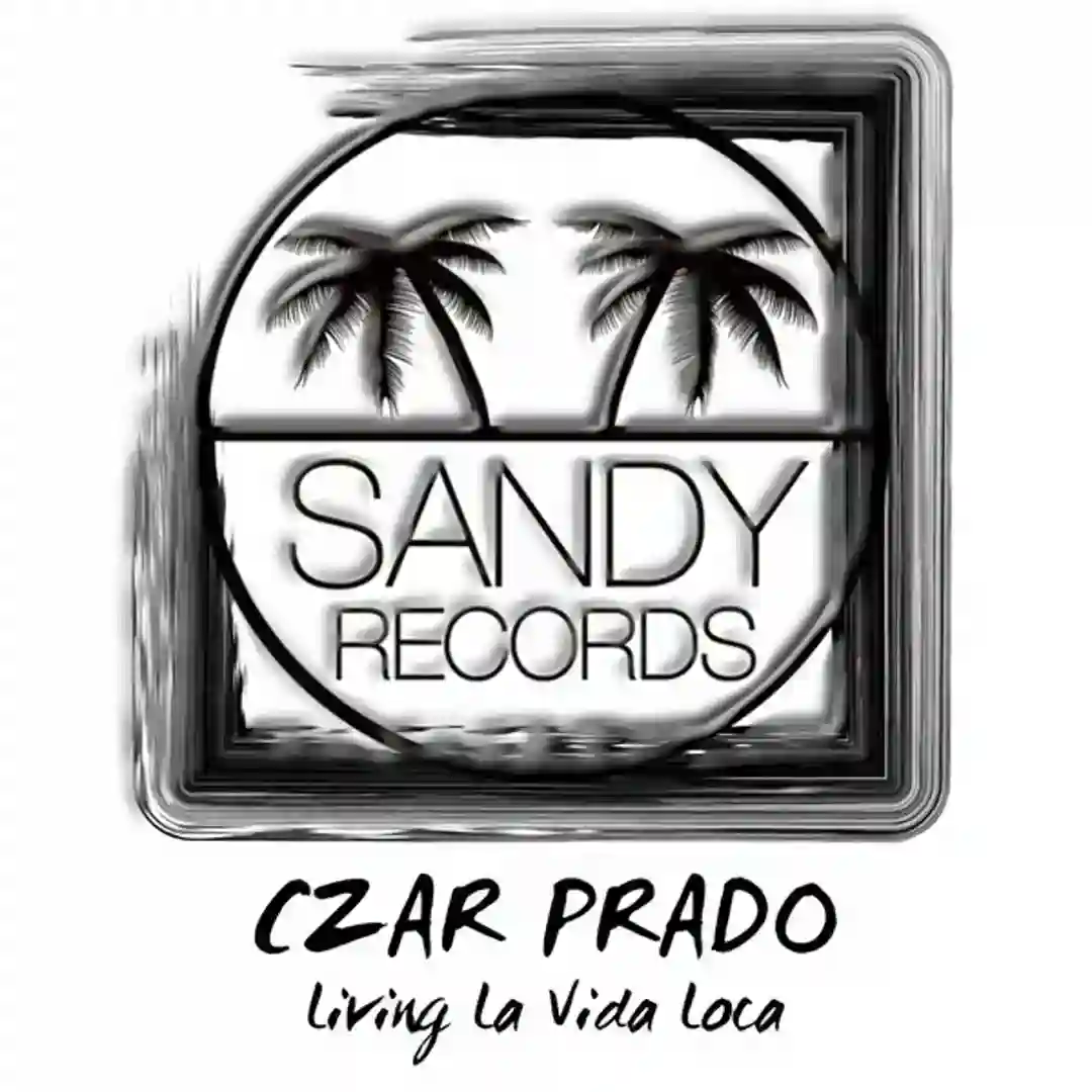 Living La Vida Loca (Original Mix) cover