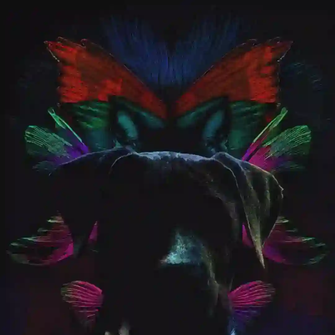 Pets (Original Mix) cover