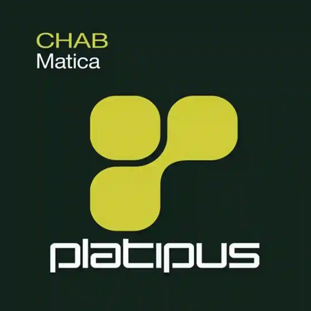 Matica (Zion Mix) cover