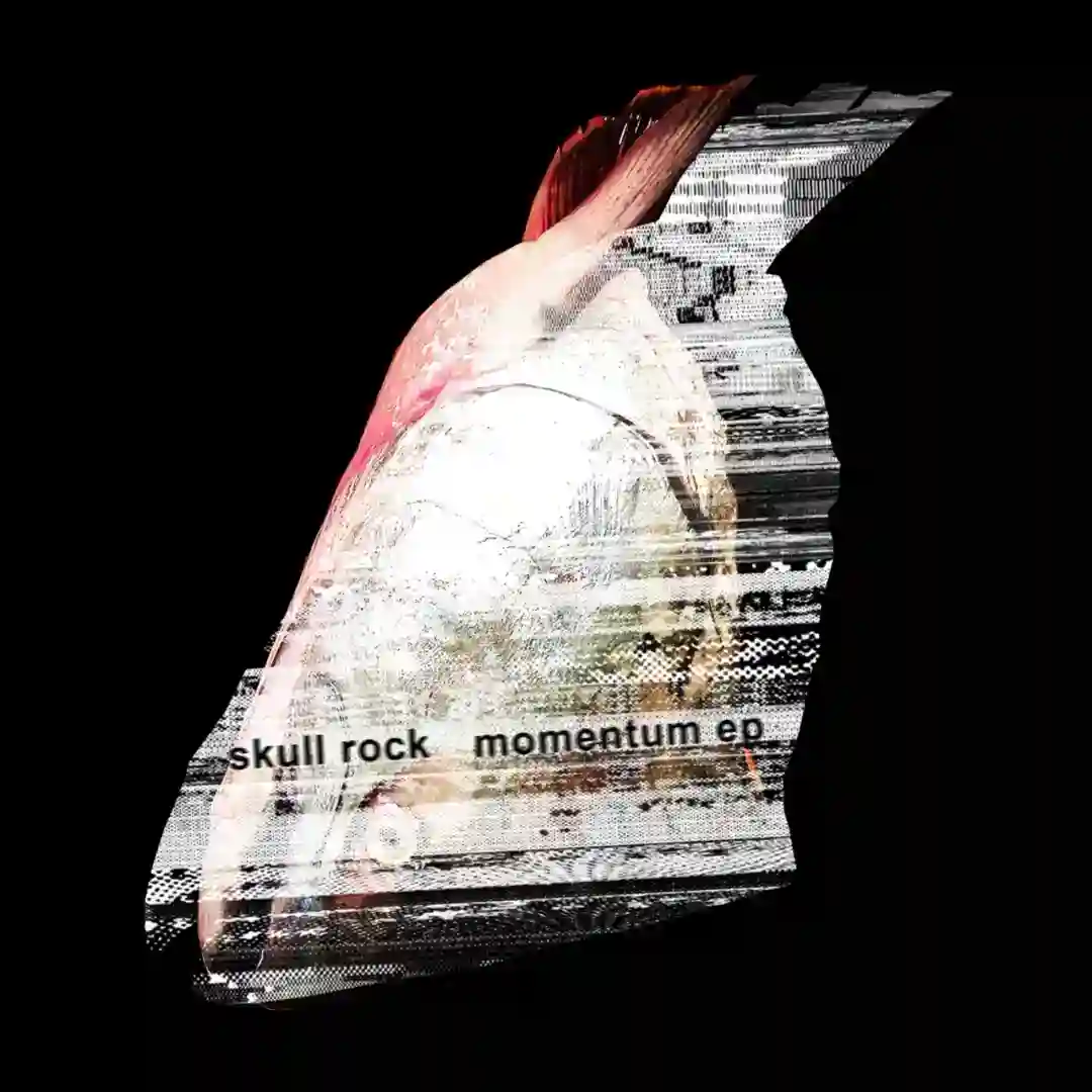 Momentum (Original Mix) cover