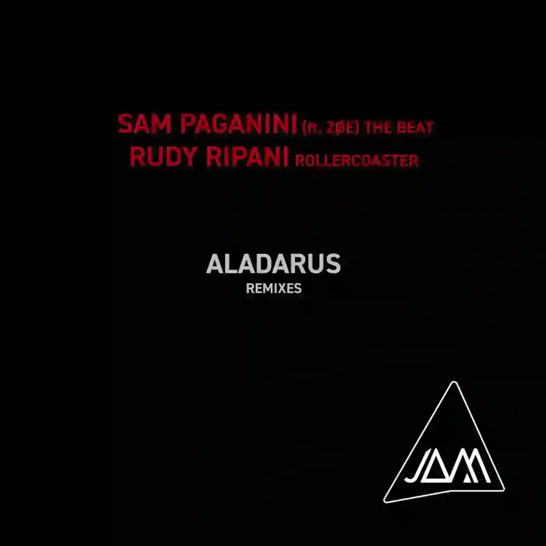 Rollercoaster (Aladarus Remix) cover