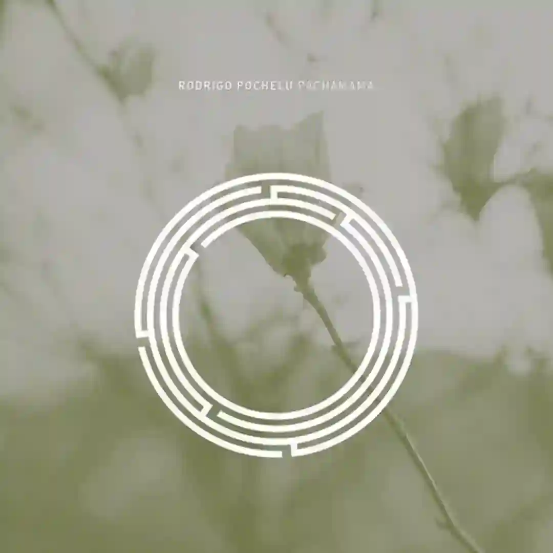 Lost In The Forest cover