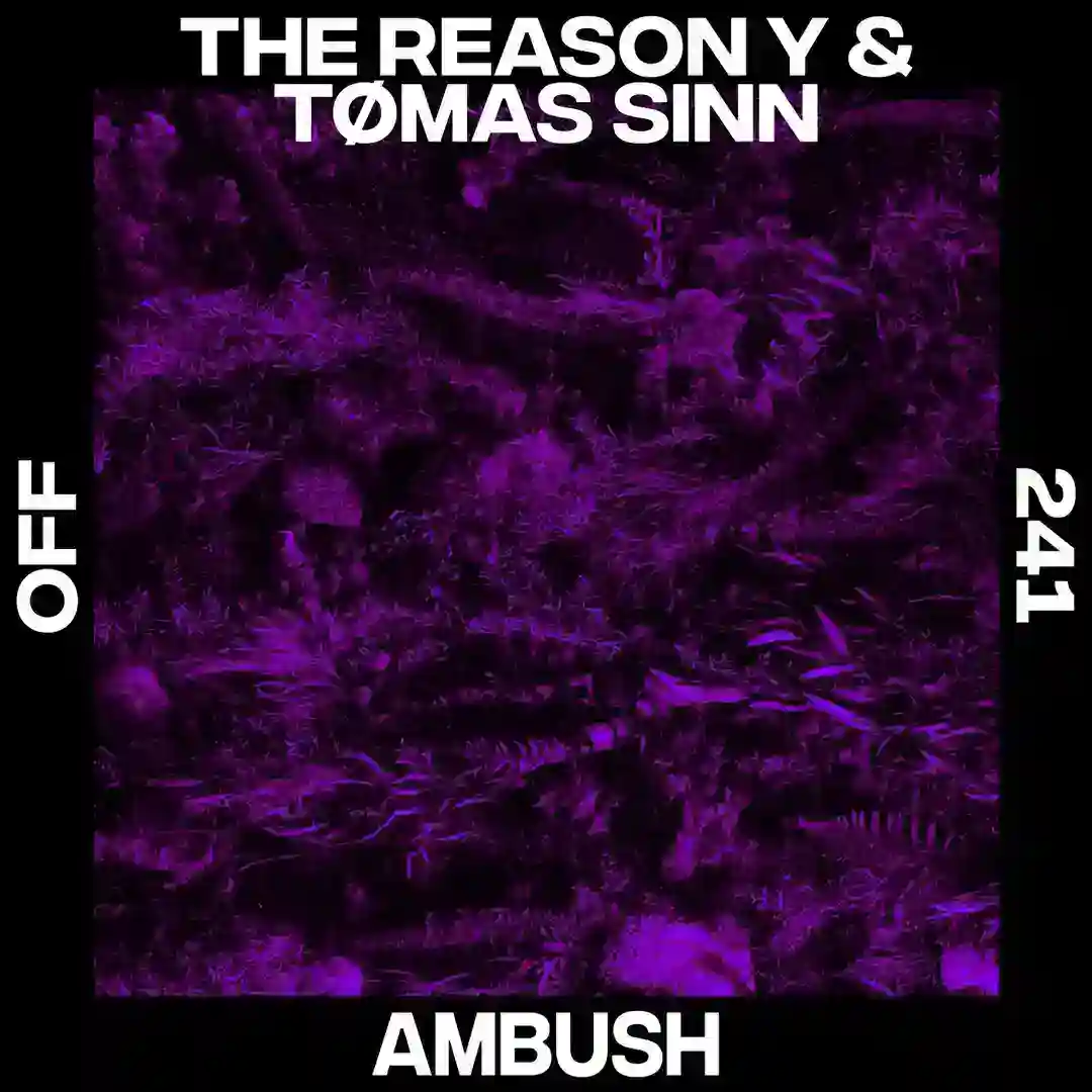 Ambush cover
