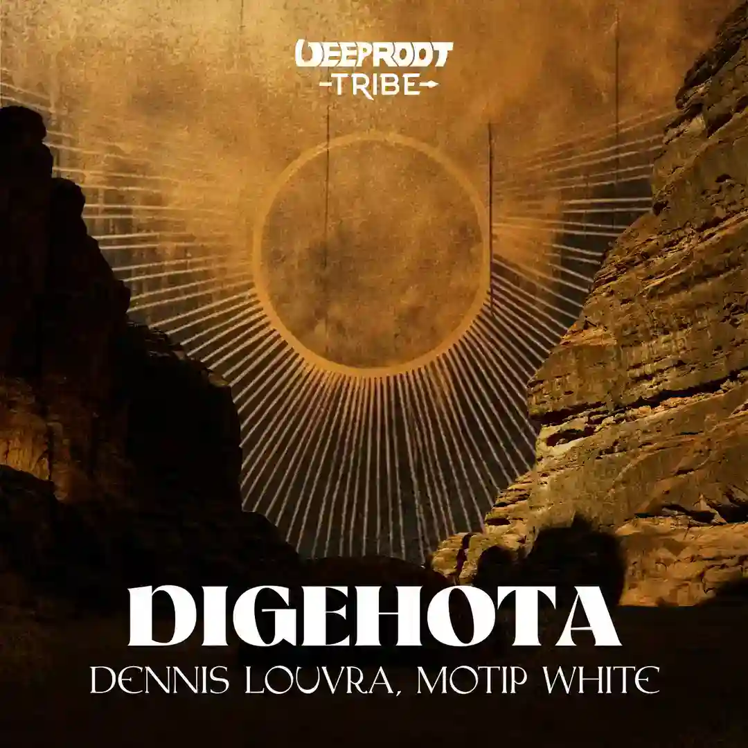 Digehota cover
