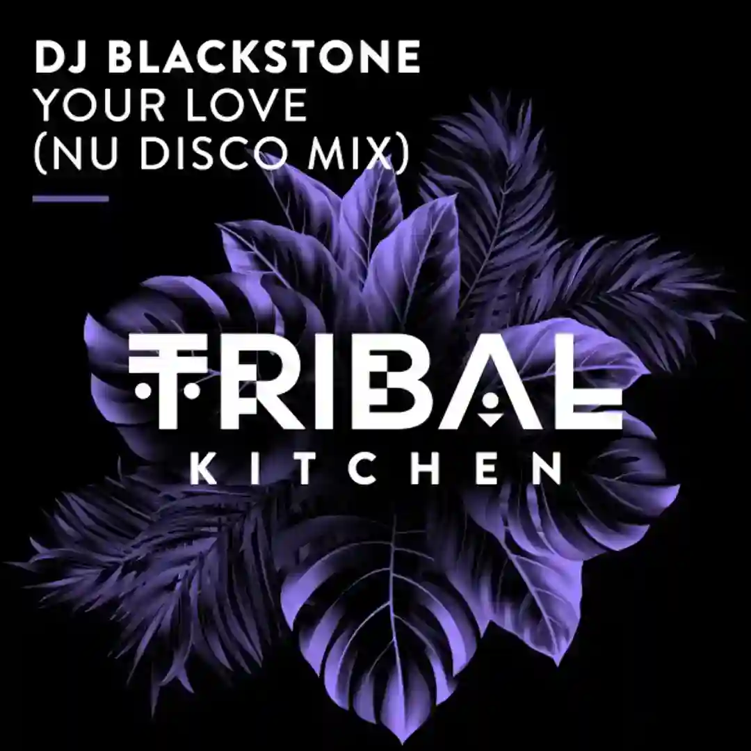 Your Love (Nu Disco Extended Mix) cover