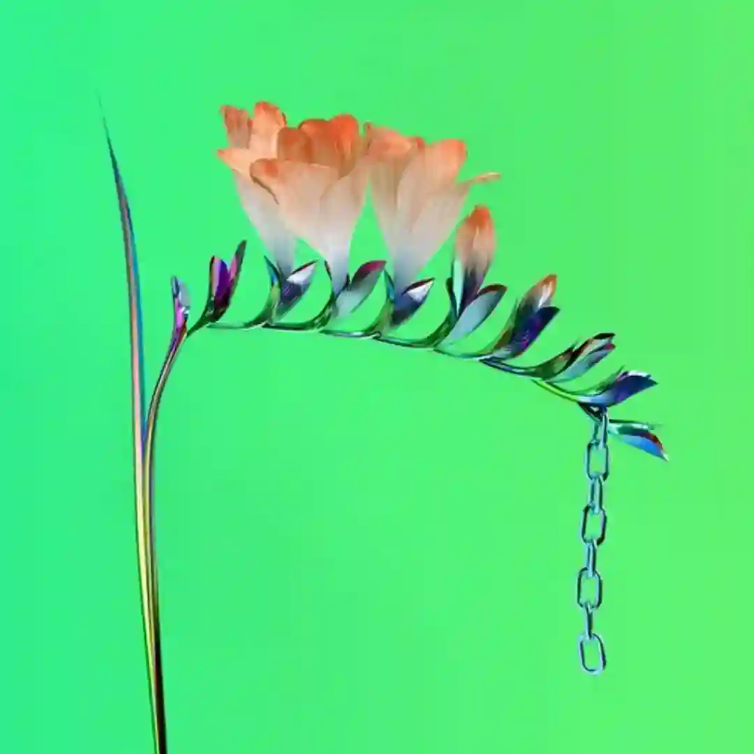 Skin Companion EP I cover