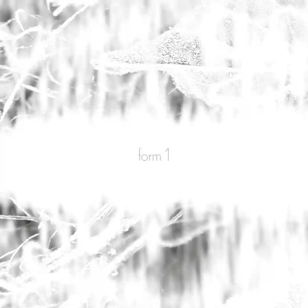 Form 1 cover
