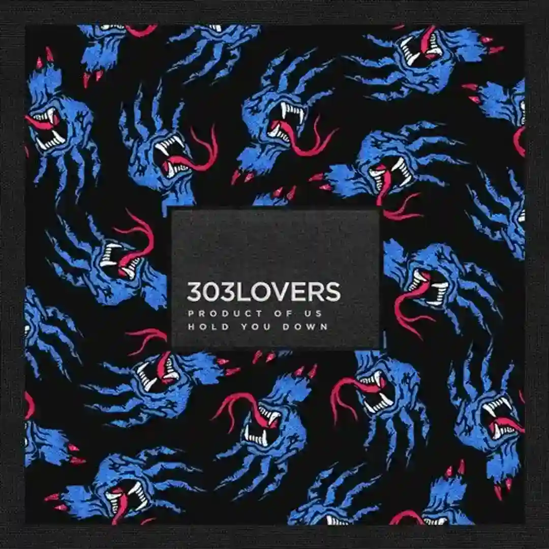 Hold You Down (Original Mix) cover