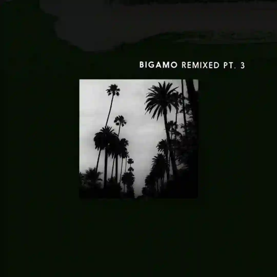 Bigamo Remixed Pt. 3 cover