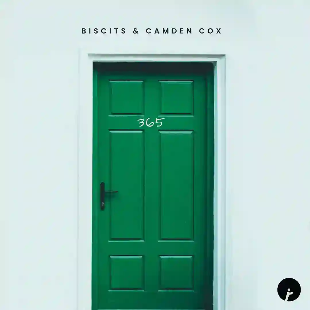 365 (Original Mix) cover
