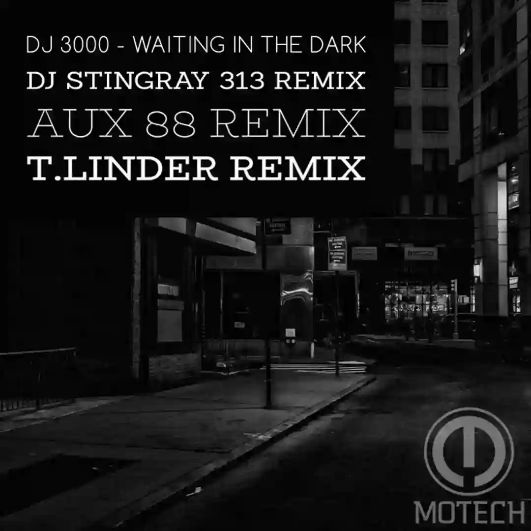 Waiting in the Dark cover