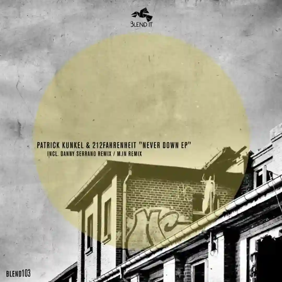 Never Down feat. Mehrklang (Danny Serrano 707 Remix) cover