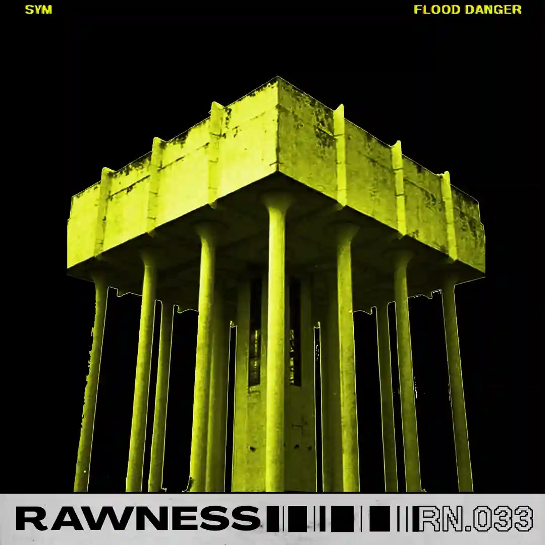 Flood Danger cover