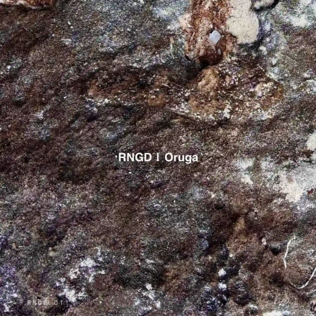 Oruga 1.2 (Original Mix) cover