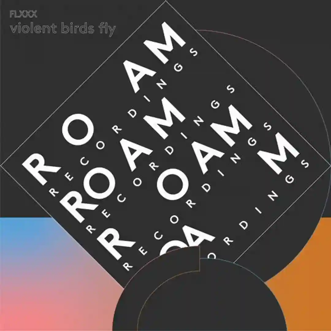 Violent Birds Fly (Original Mix) cover