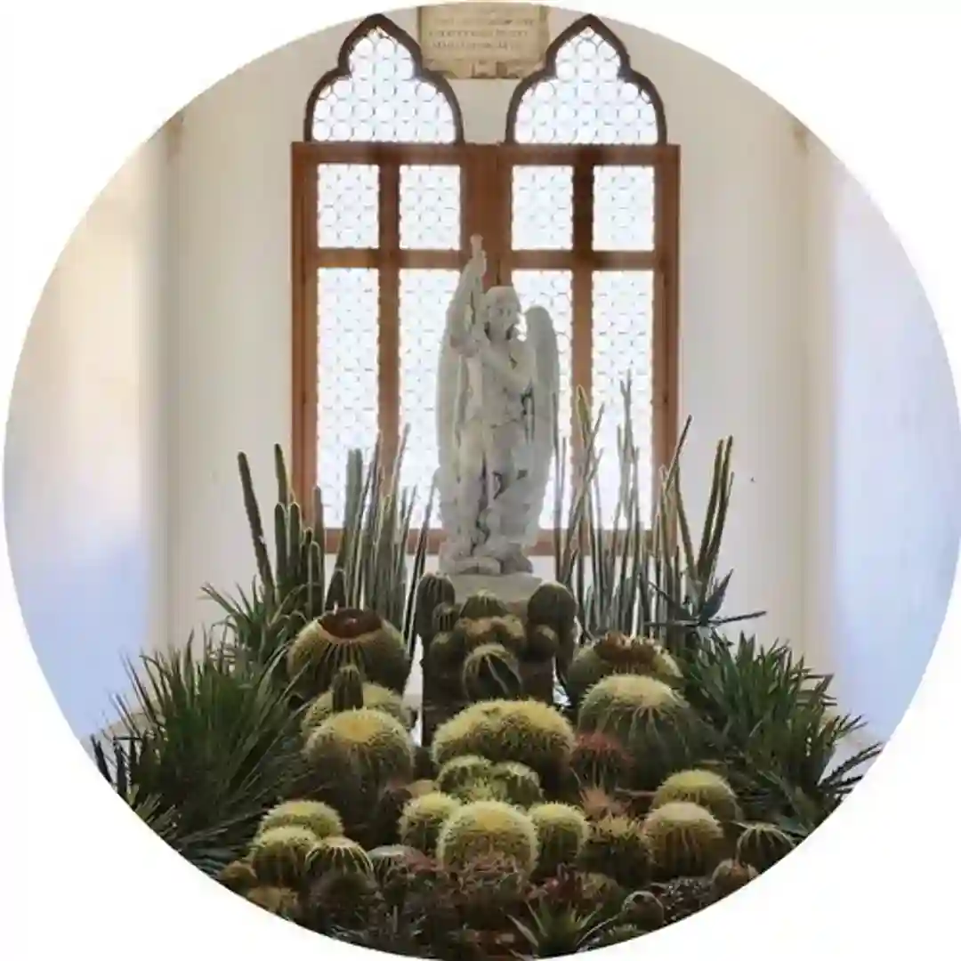 San Pedro (Original Mix) cover