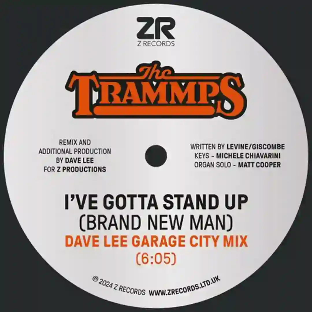 I've Gotta Stand Up (Brand New Man) (Dave Lee Garage City Mix) cover