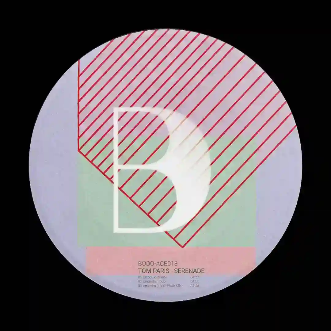 Custodian Dub (Original Mix) cover