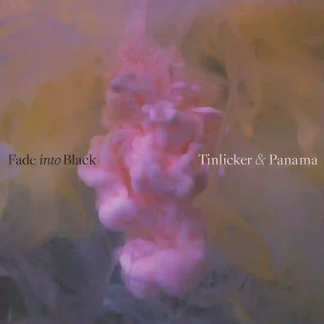 Fade Into Black (Extended Club Mix) cover