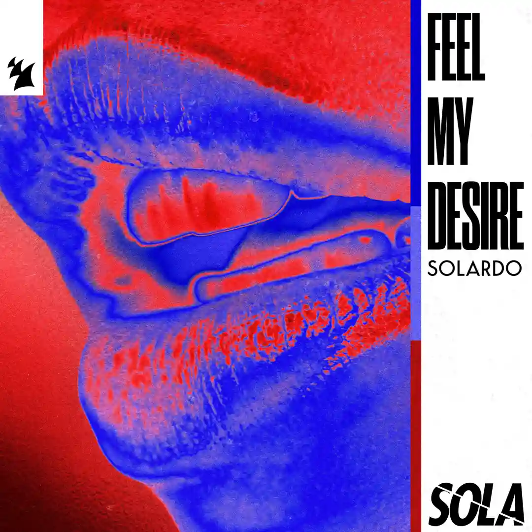 Feel My Desire cover