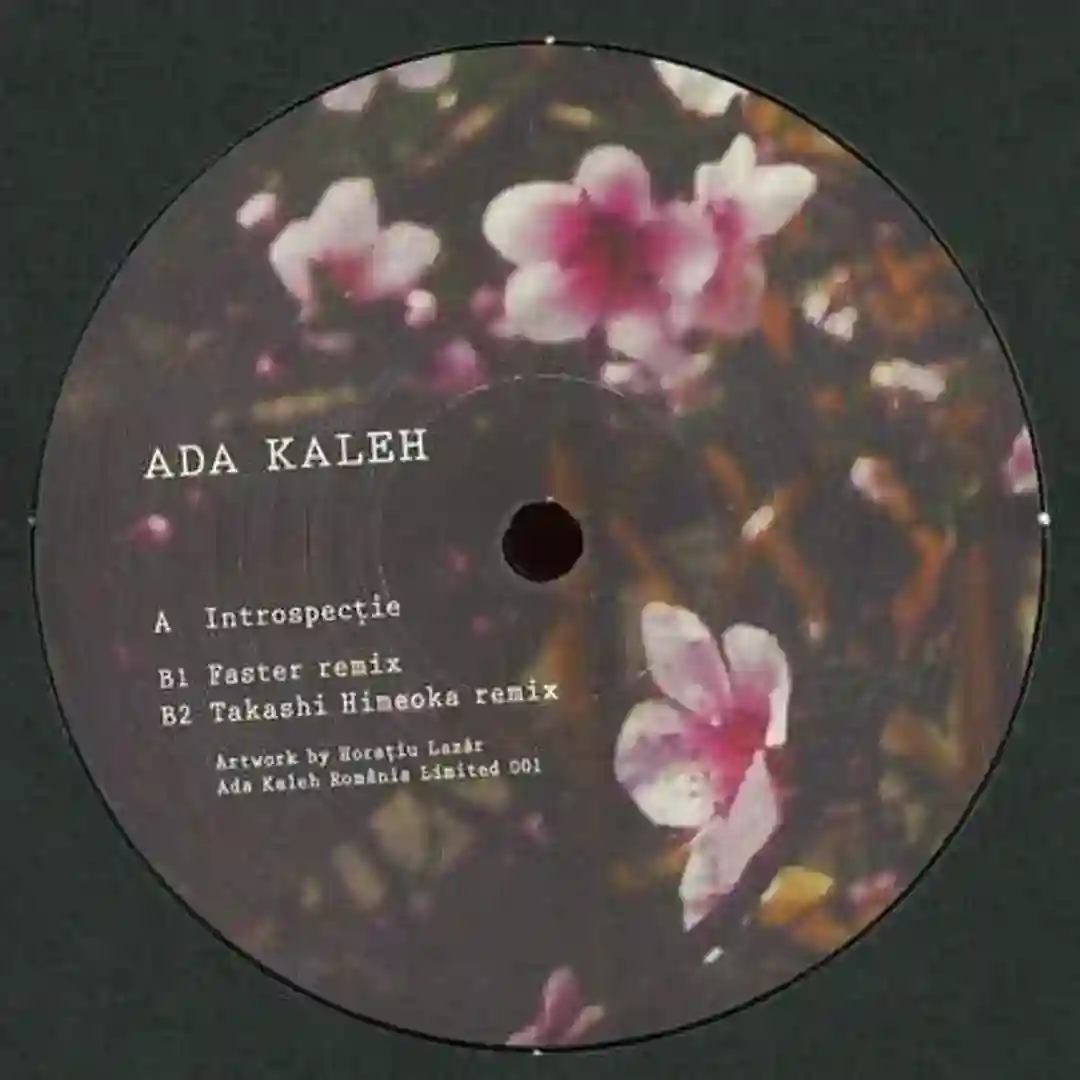 Introspecție cover