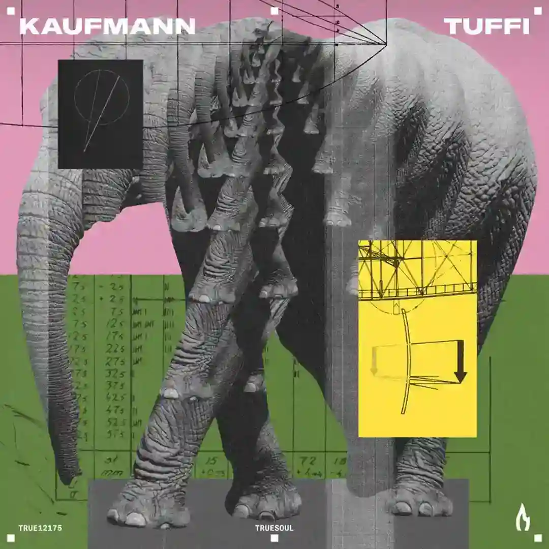 Tuffi cover