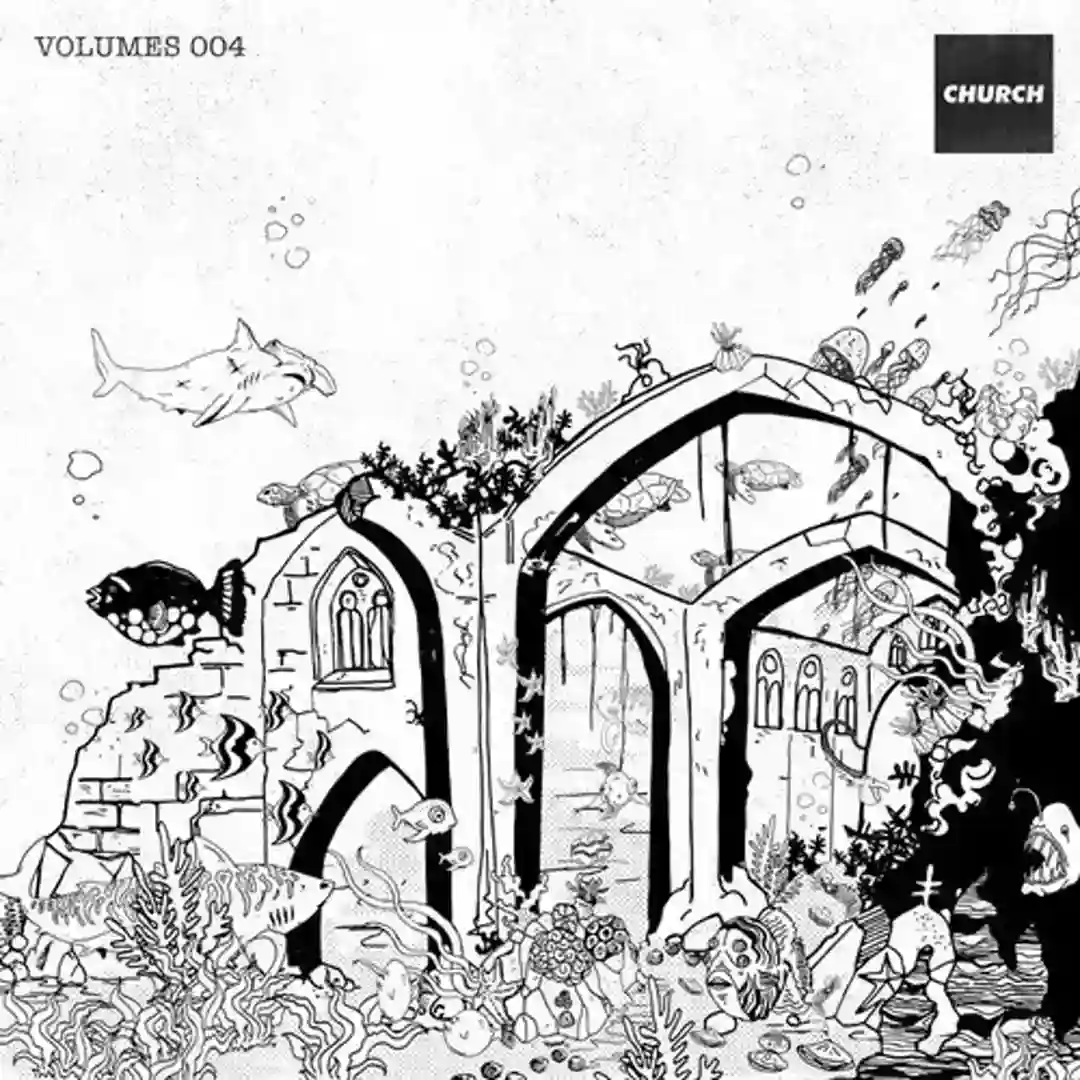 Analog in Transit (Original Mix) cover