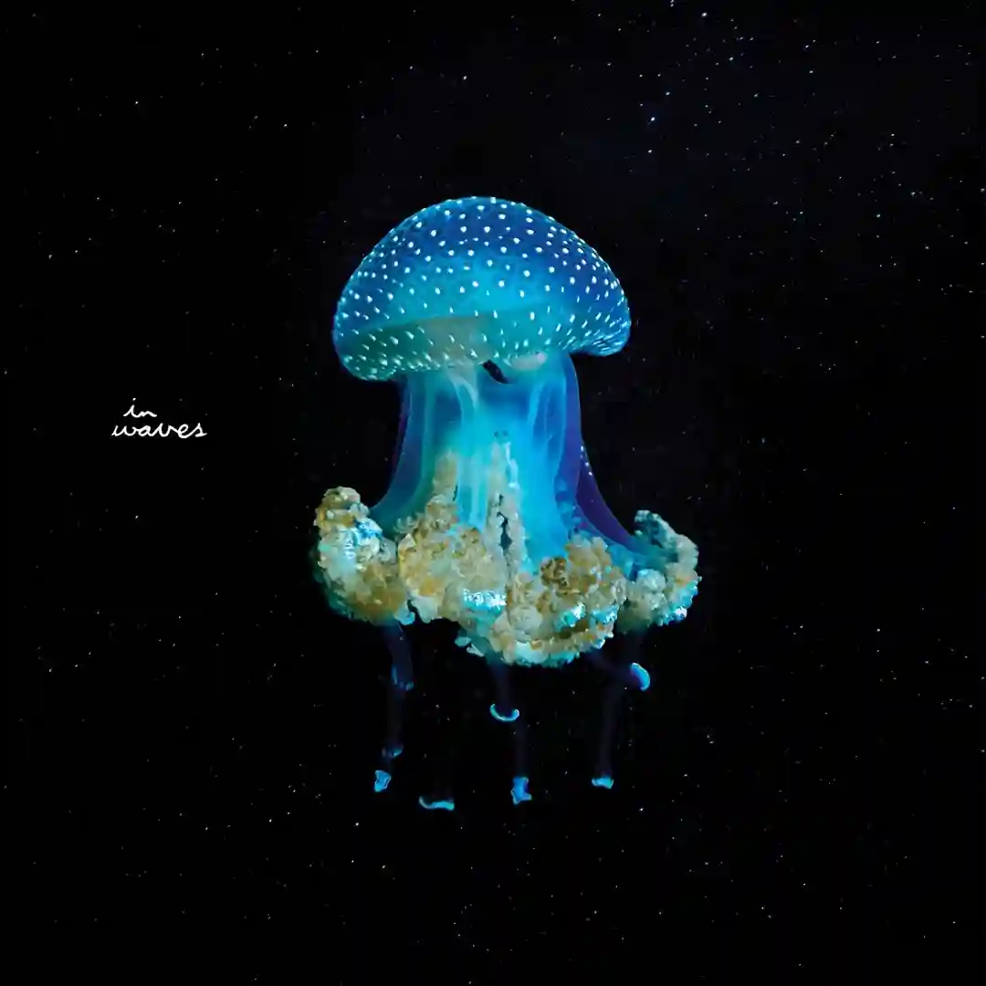 Apart cover