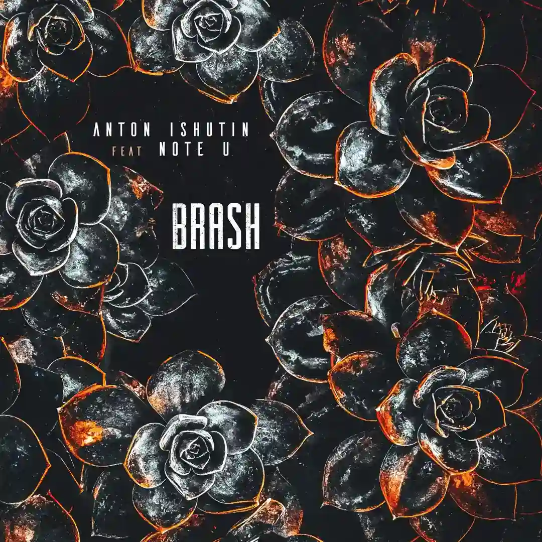 Brash cover