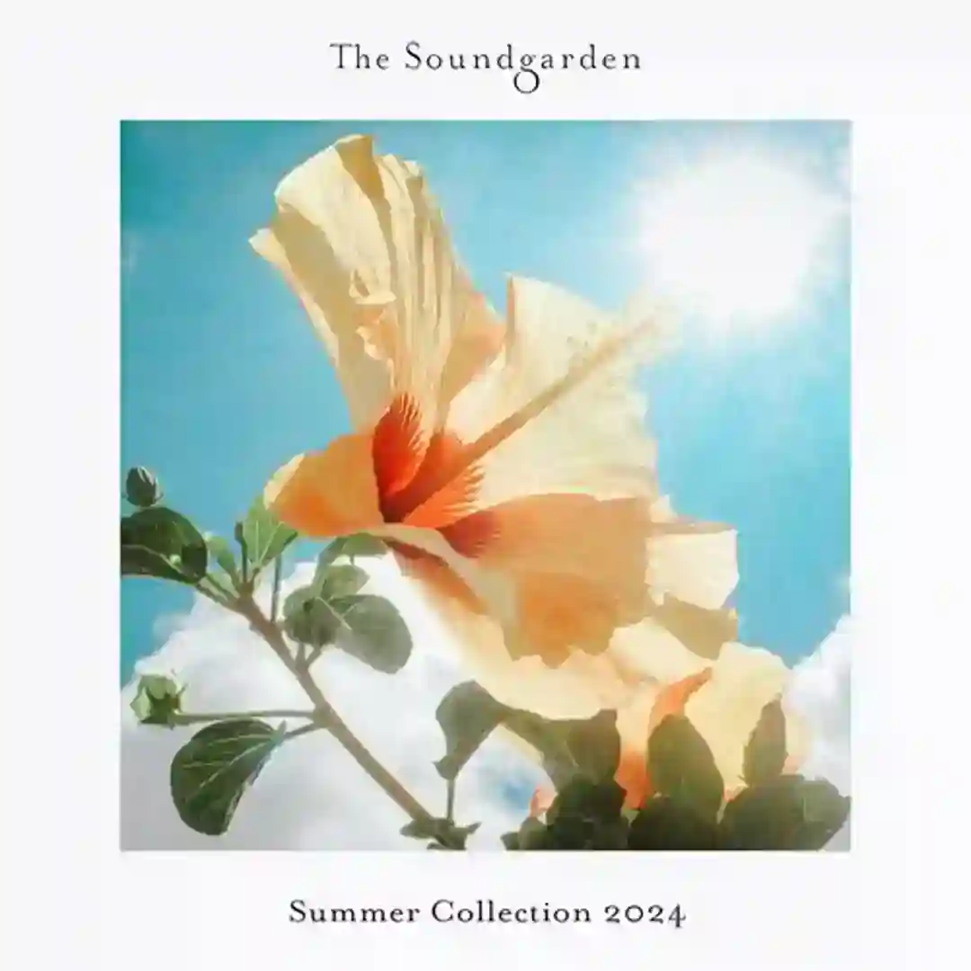 Sunfall (Extended Mix) cover