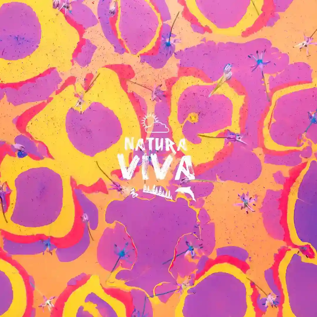 Sylva (Original mix) cover